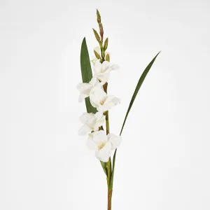Gladious Spray 84CM White by Florabelle Living, a Plants for sale on Style Sourcebook