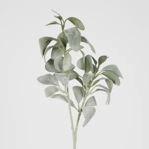 Lambs Ear leaf spray 71CM Green by Florabelle Living, a Plants for sale on Style Sourcebook