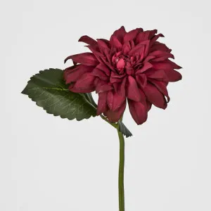 Red Dahlia 28cm by Florabelle Living, a Plants for sale on Style Sourcebook