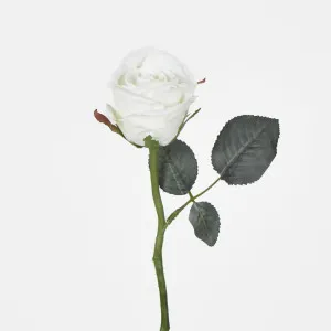Jessica Rose Bud 31CM White by Florabelle Living, a Plants for sale on Style Sourcebook
