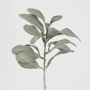 Olive Green Lamb Ear leaf spray Short Stem by Florabelle Living, a Plants for sale on Style Sourcebook