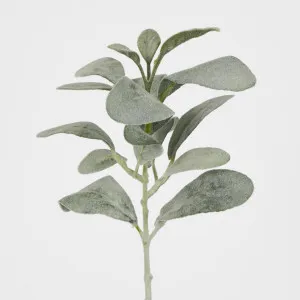 Green Lamb Ear leaf spray Short Stem by Florabelle Living, a Plants for sale on Style Sourcebook