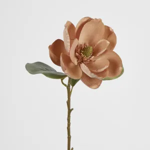 Beige Magnolia on Stem by Florabelle Living, a Plants for sale on Style Sourcebook