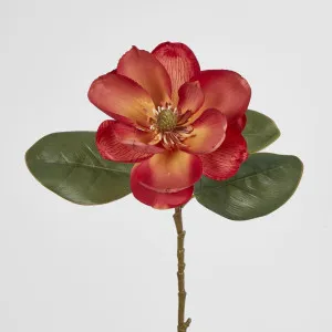 Coral Magnolia on Stem by Florabelle Living, a Plants for sale on Style Sourcebook