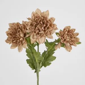 Light Brown Chrysanthemum Spray x 3 by Florabelle Living, a Plants for sale on Style Sourcebook