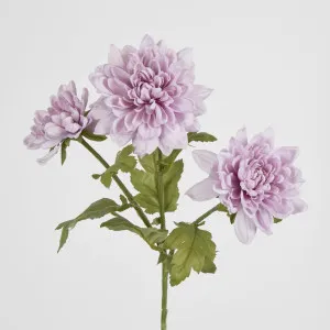 Lavender Chrysanthemum Spray x 3 by Florabelle Living, a Plants for sale on Style Sourcebook