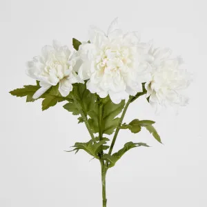 White Chrysanthemum Spray x 3 by Florabelle Living, a Plants for sale on Style Sourcebook