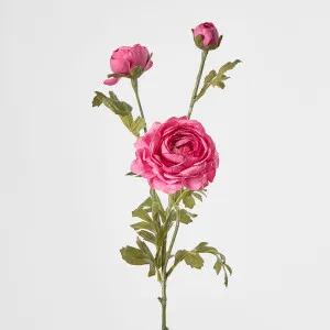 Ranunculus Spray Dark Pink by Florabelle Living, a Plants for sale on Style Sourcebook