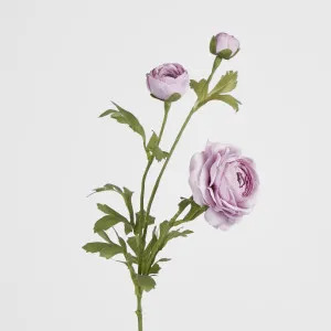 Dusty Lavender Ranunculus Spray x 3 by Florabelle Living, a Plants for sale on Style Sourcebook