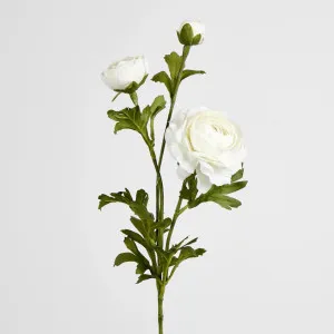 White Ranunculus Spray x 3 by Florabelle Living, a Plants for sale on Style Sourcebook