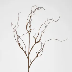 Coated Twig Branches 104CM Brown by Florabelle Living, a Plants for sale on Style Sourcebook