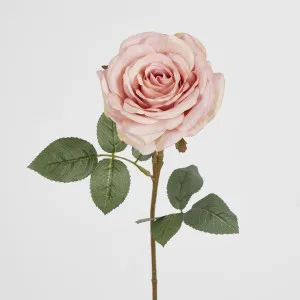 Dusty Pink Rose 63cm by Florabelle Living, a Plants for sale on Style Sourcebook