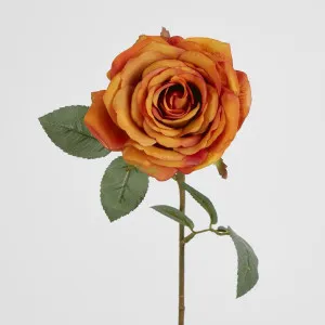 Yellow Gold Rose 63cm by Florabelle Living, a Plants for sale on Style Sourcebook