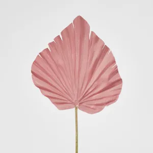 Pink Palm Leaf by Florabelle Living, a Plants for sale on Style Sourcebook