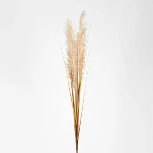 Cream White Pampas Spray by Florabelle Living, a Plants for sale on Style Sourcebook