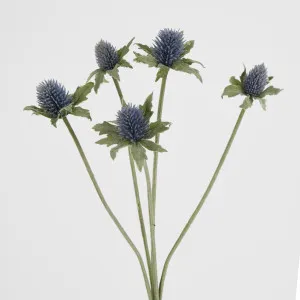 Dusty Blue Thistle Spray x 5 by Florabelle Living, a Plants for sale on Style Sourcebook
