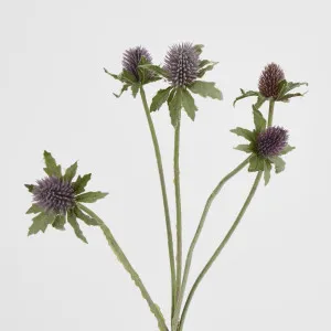 Purple Thistle Spray x 5 by Florabelle Living, a Plants for sale on Style Sourcebook