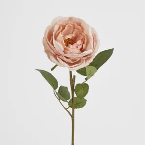 63cm Blush Pink Cabbage Rose by Florabelle Living, a Plants for sale on Style Sourcebook