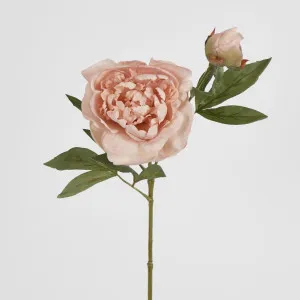 60cm Blush Pink Peony Spray by Florabelle Living, a Plants for sale on Style Sourcebook