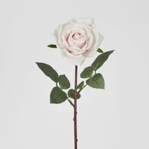 Light Pink Real Touch Bella Rose by Florabelle Living, a Plants for sale on Style Sourcebook