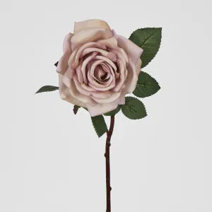 Mauve Real Touch Bella Rose by Florabelle Living, a Plants for sale on Style Sourcebook