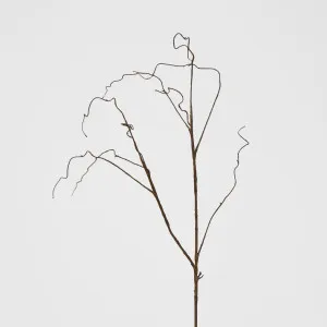 Brown Twig by Florabelle Living, a Plants for sale on Style Sourcebook