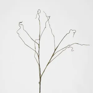 Dark Brown Twig by Florabelle Living, a Plants for sale on Style Sourcebook