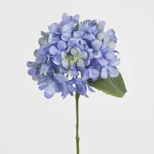 Blue Hydrangea by Florabelle Living, a Plants for sale on Style Sourcebook