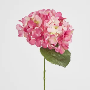 Two Tone Pink Hydrangea by Florabelle Living, a Plants for sale on Style Sourcebook