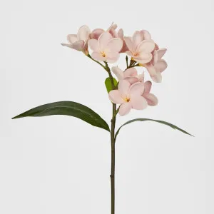 Pink Plumeria Spray 46cm by Florabelle Living, a Plants for sale on Style Sourcebook