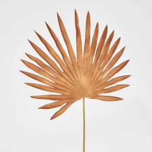 Brown Sun Palm leaf by Florabelle Living, a Plants for sale on Style Sourcebook