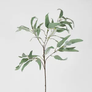 98cm Grey Eucalyptus Saligna Branch by Florabelle Living, a Plants for sale on Style Sourcebook