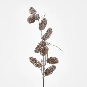 Pine Cone Spray by Florabelle Living, a Plants for sale on Style Sourcebook