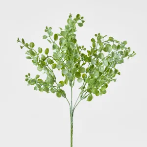 Eucalyptus Bush 5 branches by Florabelle Living, a Plants for sale on Style Sourcebook