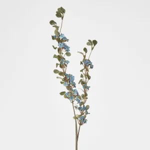 Euphorbia Spray by Florabelle Living, a Plants for sale on Style Sourcebook