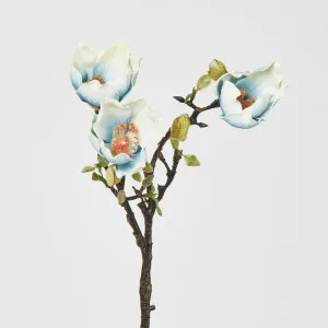 Magnolia by 3 by Florabelle Living, a Plants for sale on Style Sourcebook
