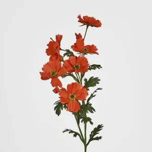 Orange Cosmos Spray by 3 by Florabelle Living, a Plants for sale on Style Sourcebook
