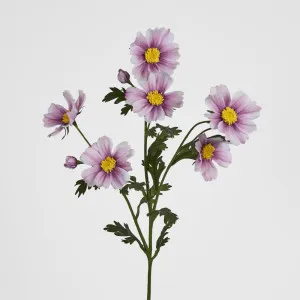 Pink Cosmos Spray by 3 by Florabelle Living, a Plants for sale on Style Sourcebook