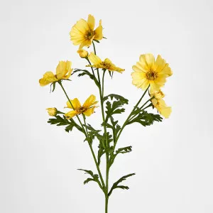 Yellow Cosmos Spray by 3 by Florabelle Living, a Plants for sale on Style Sourcebook
