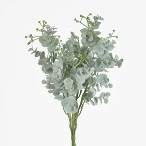 Light Green Euonymus Japonicus Bush by Florabelle Living, a Plants for sale on Style Sourcebook