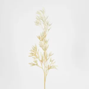 Beige Mini Magnolia Spray by Florabelle Living, a Plants for sale on Style Sourcebook