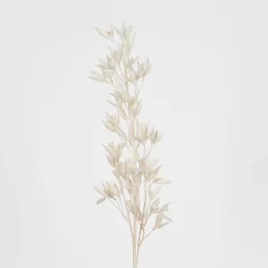 Light Pink Mini Magnolia Spray by Florabelle Living, a Plants for sale on Style Sourcebook