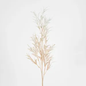 Light Pink Podocarpus Spray by Florabelle Living, a Plants for sale on Style Sourcebook
