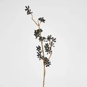 Eucalyptus Seed Spray by Florabelle Living, a Plants for sale on Style Sourcebook
