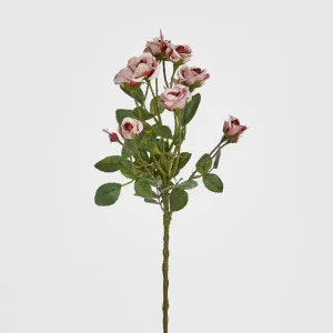 Dusty Pink Rose Spray x 10 by Florabelle Living, a Plants for sale on Style Sourcebook