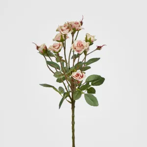 Peach Rose Spray x 10 by Florabelle Living, a Plants for sale on Style Sourcebook