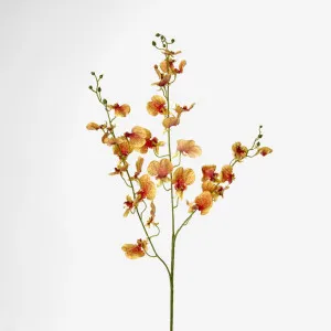 Lilly Dancing Orchid 98cm Orange by Florabelle Living, a Plants for sale on Style Sourcebook
