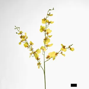 Lilly Dancing Orchid 98cm Yellow by Florabelle Living, a Plants for sale on Style Sourcebook