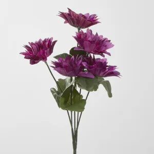 Gerbera Bush Sold in Box Qty Only by Florabelle Living, a Plants for sale on Style Sourcebook