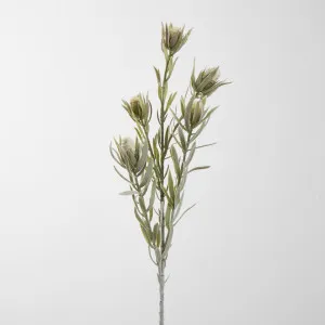 Protea Spray Dark Green Leaves 77CM Cream by Florabelle Living, a Plants for sale on Style Sourcebook